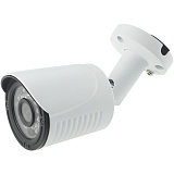 AltCam ICF24IR-2