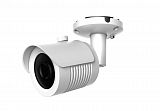 AltCam ICF81IR